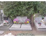 Cmentarz Ewangelicko-Reformowany przy ul. Żytniej (Warszawa - Teodor, Michalina Deutschman)